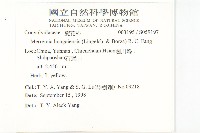 山土瓜藏品圖，第2張