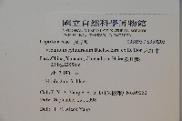 水紅木藏品圖，第2張