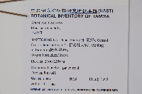 木蠟樹、山漆藏品圖，第2張