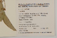 登錄號:S059244藏品圖，第2張