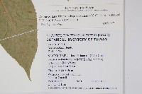 登錄號:S059246藏品圖，第2張