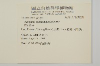 交趾衛矛藏品圖，第2張