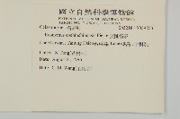 交趾衛矛藏品圖，第2張