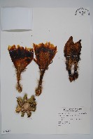 登錄號:S059280藏品圖，第1張