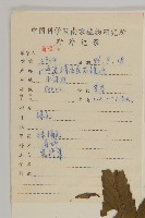 狼把草藏品圖，第2張