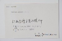 蔥木藏品圖，第2張