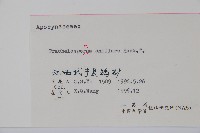 紫花絡石藏品圖，第2張