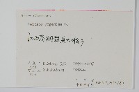 青葙藏品圖，第2張