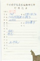 裂葉牽牛藏品圖，第2張