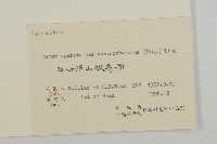 微糙三脈紫菀藏品圖，第3張