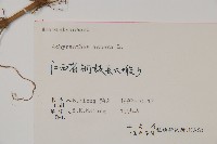 土牛膝藏品圖，第2張