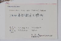 柳葉牛膝藏品圖，第2張