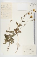 登錄號:S059548藏品圖，第1張