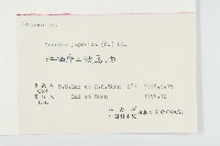 黃鵪菜藏品圖，第3張