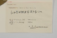 下田菊藏品圖，第3張