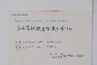 柳葉水蓑衣藏品圖，第2張