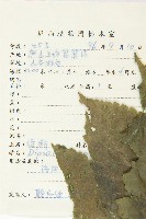 續斷藏品圖，第2張