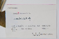 蔥木藏品圖，第2張