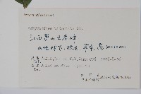 牛膝藏品圖，第2張