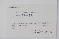 臺灣糯米條藏品圖，第2張