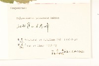 腺梗豨薟藏品圖，第3張