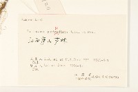 粗毛小米菊藏品圖，第3張