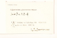 毛梗豨薟藏品圖，第3張