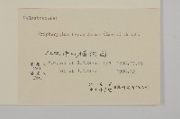 昆明山海棠藏品圖，第3張