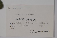 下江忍冬藏品圖，第2張