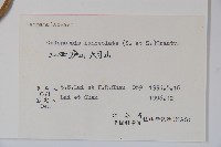 羊乳、四葉參藏品圖，第2張