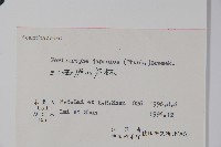 九頭獅子草藏品圖，第2張