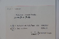 松田氏莢迷、宜昌莢迷藏品圖，第2張