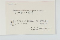 蒼耳藏品圖，第3張