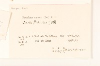 鬼苦苣菜藏品圖，第3張