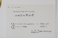 牯嶺鳳仙花藏品圖，第2張