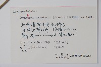 柳葉白前藏品圖，第2張