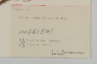 華薊藏品圖，第3張