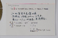 厚殼樹藏品圖，第2張