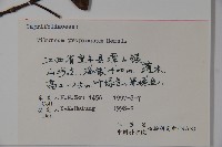 高山莢迷藏品圖，第2張