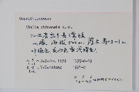 臺灣糯米條藏品圖，第2張