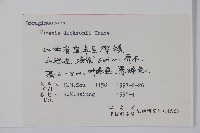 破布烏藏品圖，第2張