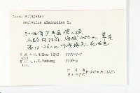 土丁桂藏品圖，第3張