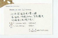 裂葉牽牛藏品圖，第3張