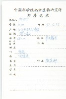 篱打碗花藏品圖，第2張