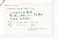 篱打碗花藏品圖，第3張