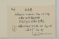 烏丹蒿藏品圖，第2張