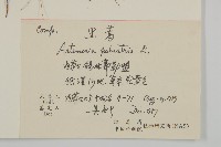 黑蒿藏品圖，第2張