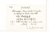 阿爾泰狗娃花藏品圖，第2張