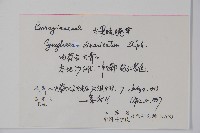 大果琉璃草藏品圖，第2張