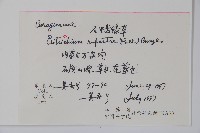 齒緣草藏品圖，第2張